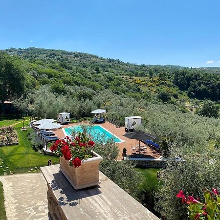 Casale San Pietro Bed & Breakfast Anagni Bagian luar foto