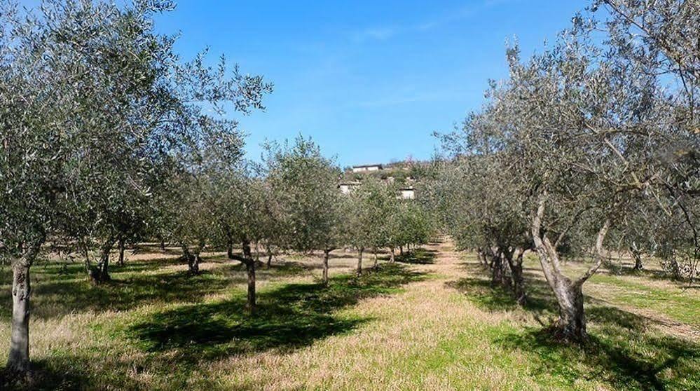 Casale San Pietro Bed & Breakfast Anagni Bagian luar foto